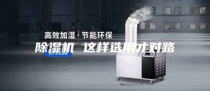 除濕機 這樣選用才對路