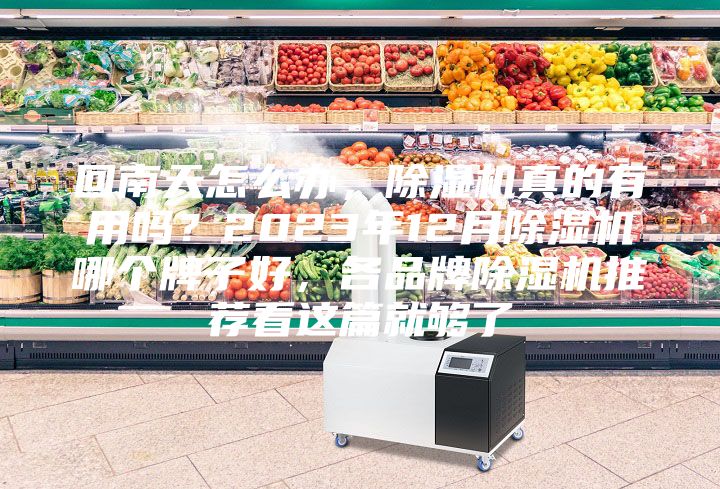 回南天怎么辦，除濕機(jī)真的有用嗎？2023年12月除濕機(jī)哪個(gè)牌子好，各品牌除濕機(jī)推薦看這篇就夠了