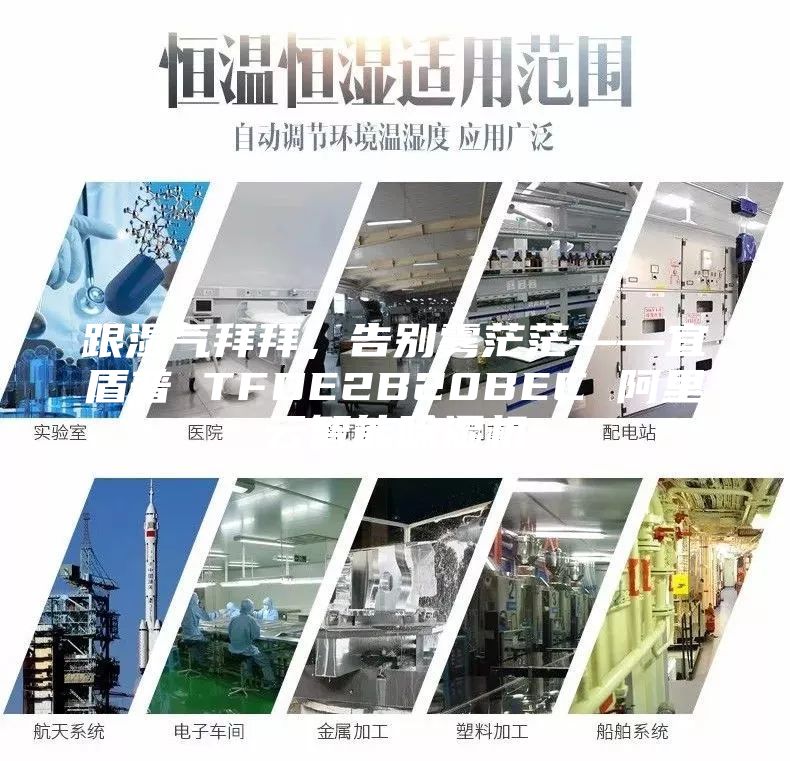 跟濕氣拜拜，告別霧茫茫——宜盾普 TFDE2B20BEC 阿里云智能除濕機