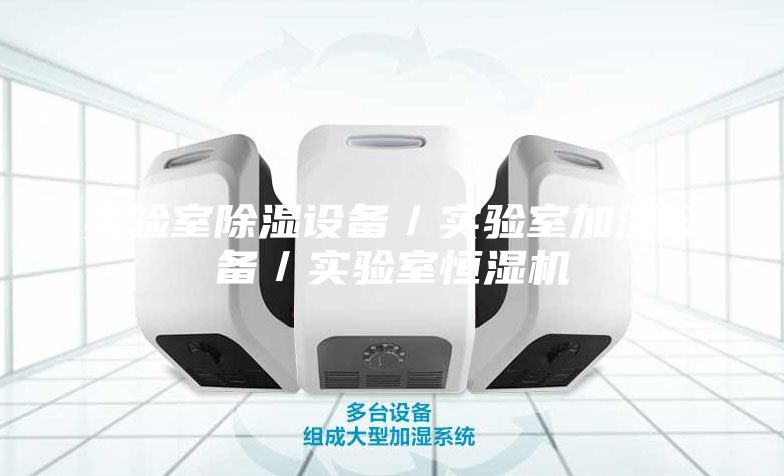 實(shí)驗(yàn)室除濕設(shè)備／實(shí)驗(yàn)室加濕設(shè)備／實(shí)驗(yàn)室恒濕機(jī)