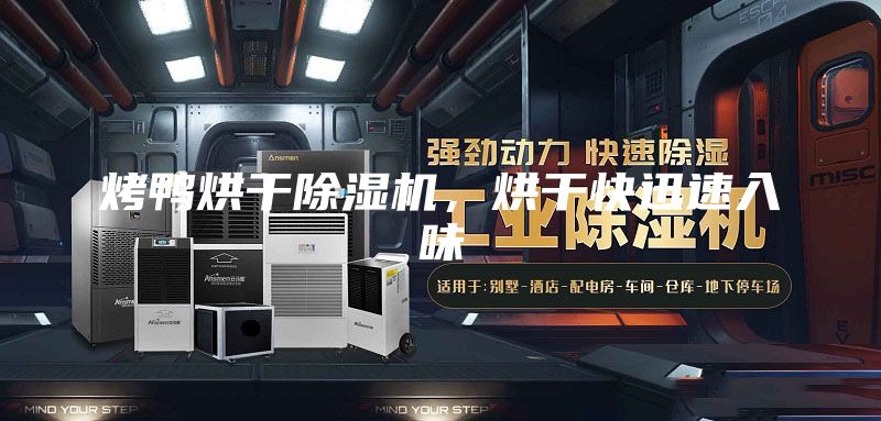 烤鴨烘干除濕機(jī)，烘干快迅速入味