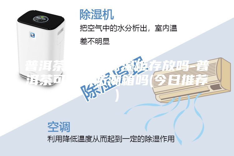 普洱茶可以用除濕柜存放嗎-普洱茶可以放防潮箱嗎(今日推薦)