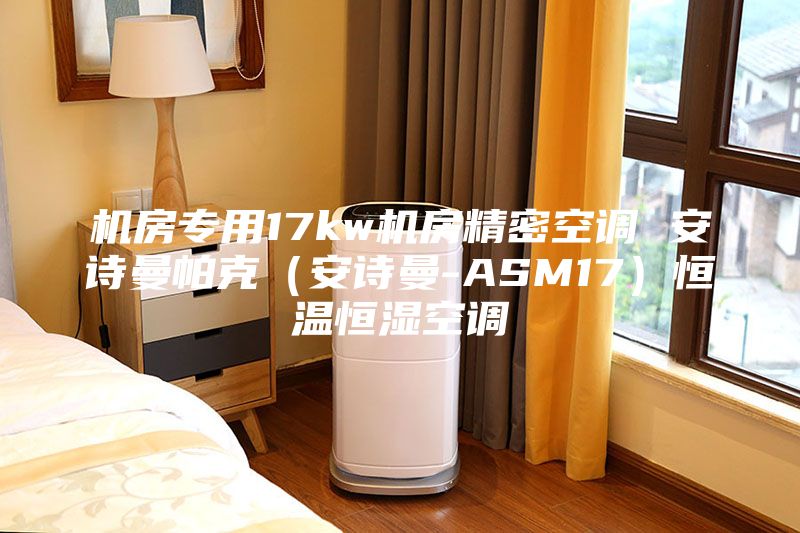 機房專用17kw機房精密空調 安詩曼帕克（安詩曼-ASM17）恒溫恒濕空調