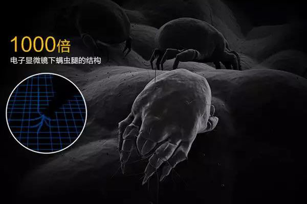 螨蟲高發(fā)季，家用除濕機(jī)除螨有妙計(jì)！