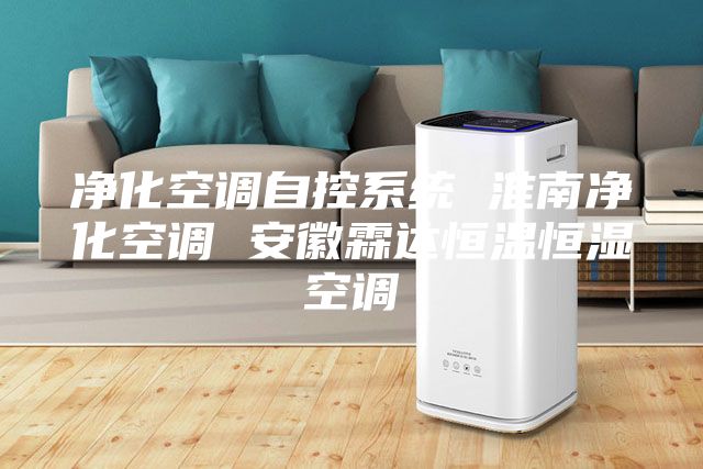 凈化空調自控系統 淮南凈化空調 安徽霖達恒溫恒濕空調