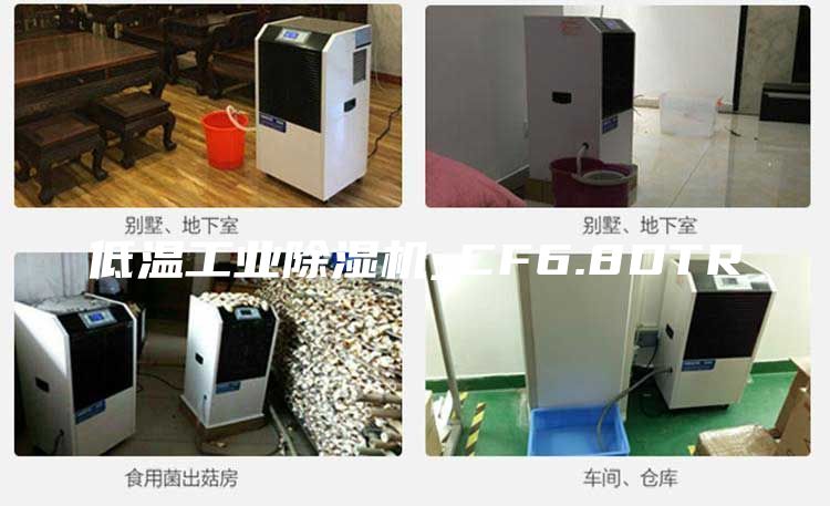 低溫工業(yè)除濕機_CF6.8DTR