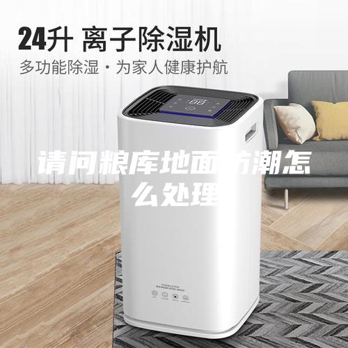 請問糧庫地面防潮怎么處理