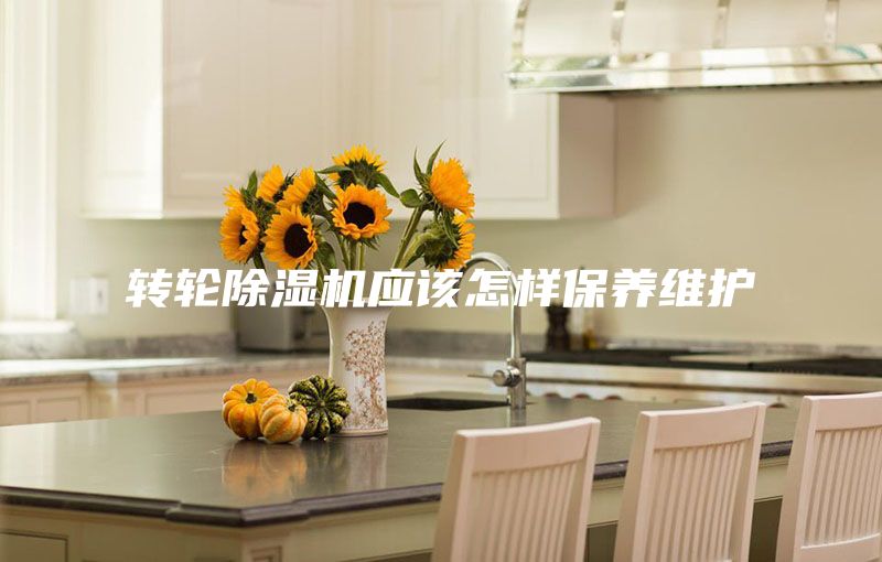 轉輪除濕機應該怎樣保養維護