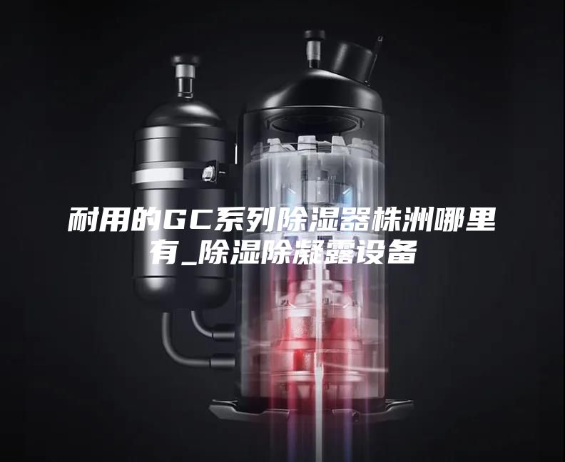 耐用的GC系列除濕器株洲哪里有_除濕除凝露設備