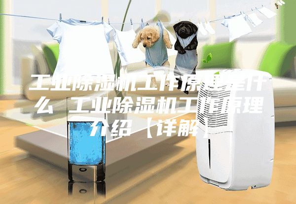 工業(yè)除濕機工作原理是什么 工業(yè)除濕機工作原理介紹【詳解】