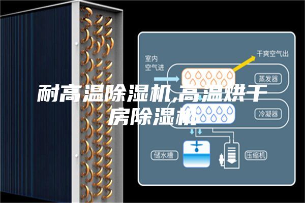 耐高溫除濕機(jī),高溫烘干房除濕機(jī)