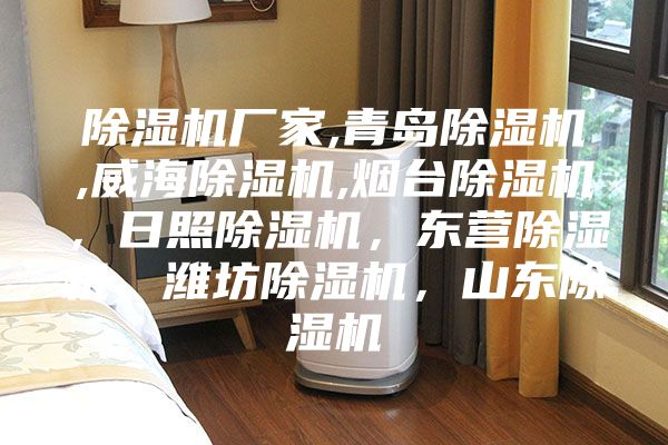 除濕機(jī)廠家,青島除濕機(jī),威海除濕機(jī),煙臺除濕機(jī)，日照除濕機(jī)，東營除濕機(jī)，濰坊除濕機(jī)，山東除濕機(jī)