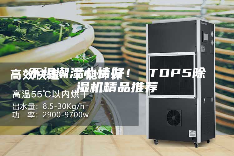 不懼潮濕心情好！ TOP5除濕機精品推薦