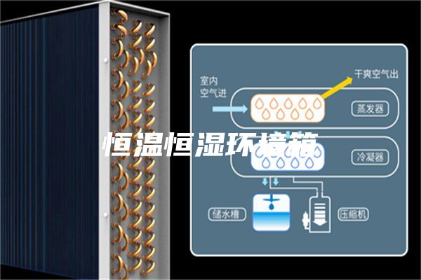 恒溫恒濕環(huán)境箱