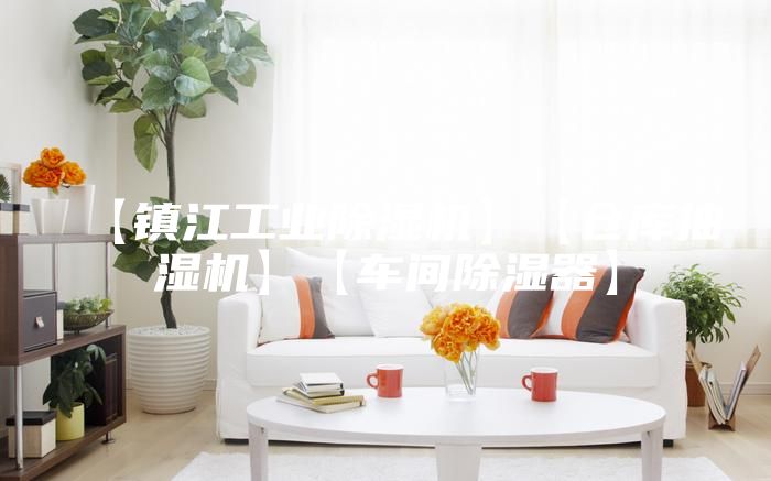 【鎮(zhèn)江工業(yè)除濕機(jī)】【倉庫抽濕機(jī)】【車間除濕器】