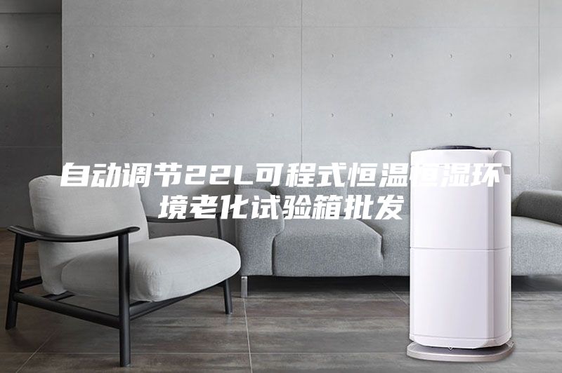 自動調(diào)節(jié)22L可程式恒溫恒濕環(huán)境老化試驗箱批發(fā)