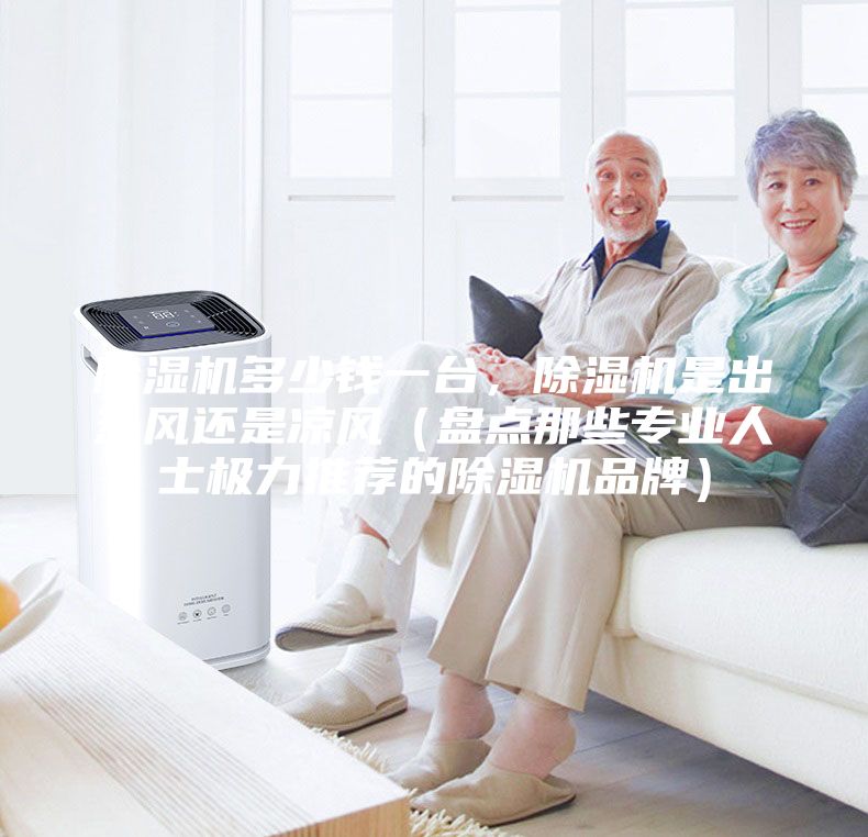 除濕機(jī)多少錢一臺，除濕機(jī)是出熱風(fēng)還是涼風(fēng)（盤點(diǎn)那些專業(yè)人士極力推薦的除濕機(jī)品牌）