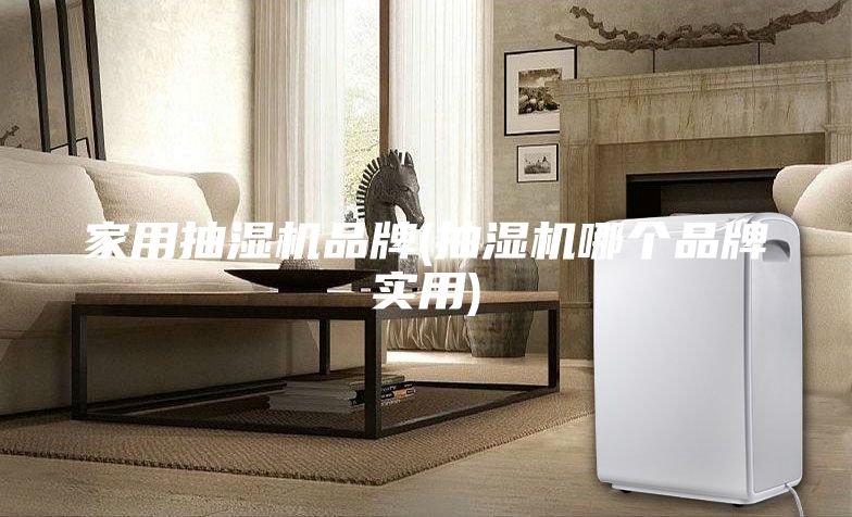 家用抽濕機品牌(抽濕機哪個品牌實用)