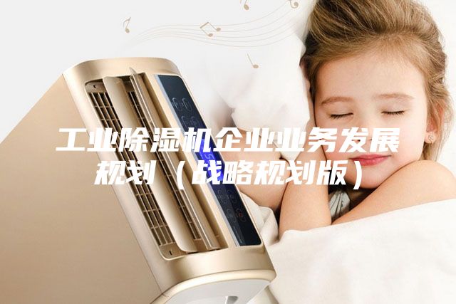 工業(yè)除濕機企業(yè)業(yè)務(wù)發(fā)展規(guī)劃(戰(zhàn)略規(guī)劃版)