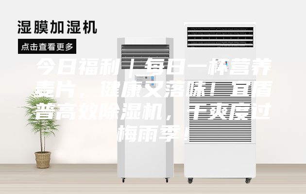 今日福利｜每日一杯營養麥片，健康又落味！宜盾普高效除濕機，干爽度過梅雨季！