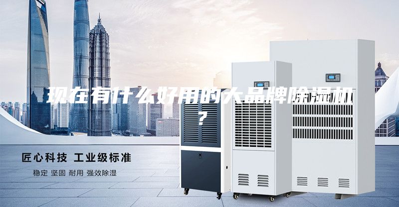現(xiàn)在有什么好用的大品牌除濕機？