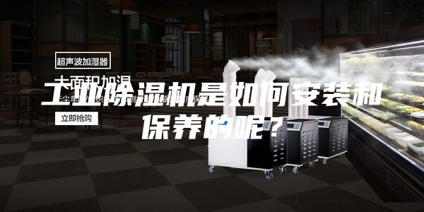 工業除濕機是如何安裝和保養的呢?