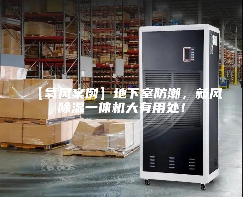 【氧風案例】地下室防潮，新風除濕一體機大有用處！