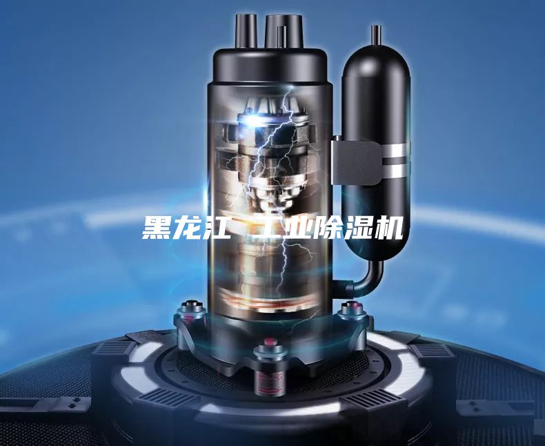 黑龍江 工業除濕機