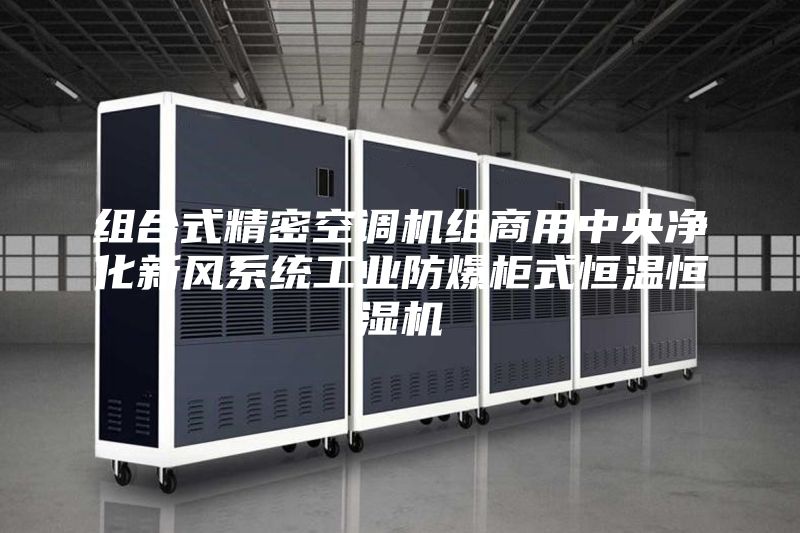 組合式精密空調機組商用中央凈化新風系統工業防爆柜式恒溫恒濕機
