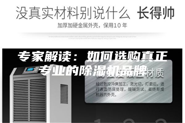 專家解讀：如何選購真正專業的除濕機品牌
