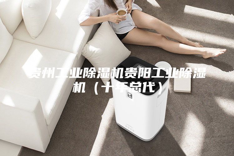 貴州工業(yè)除濕機(jī)貴陽(yáng)工業(yè)除濕機(jī)（十年總代）