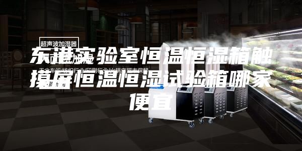 東港實驗室恒溫恒濕箱觸摸屏恒溫恒濕試驗箱哪家便宜