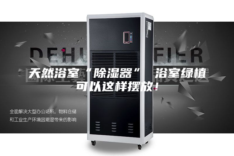 天然浴室“除濕器” 浴室綠植可以這樣擺放！