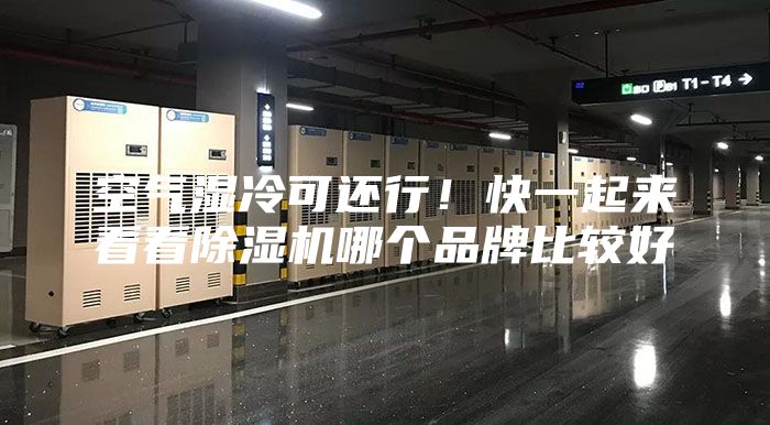 空氣濕冷可還行！快一起來看看除濕機哪個品牌比較好