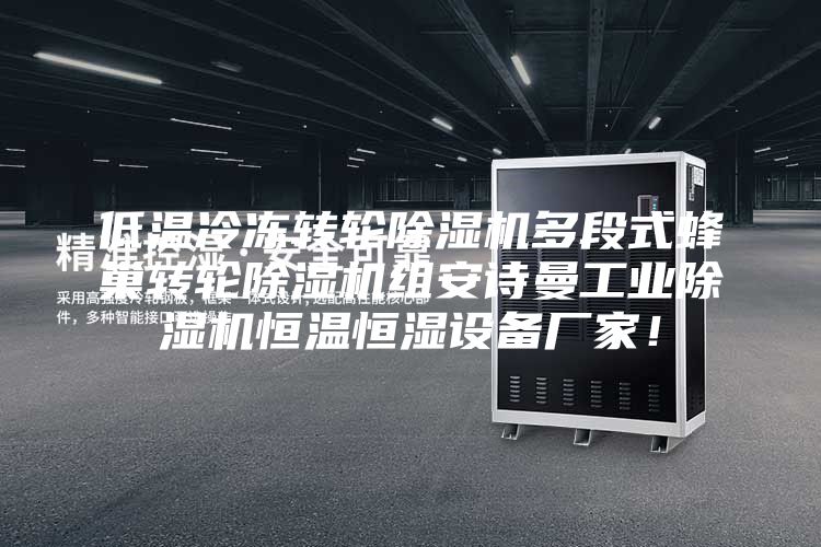 低溫冷凍轉輪除濕機多段式蜂巢轉輪除濕機組安詩曼工業除濕機恒溫恒濕設備廠家！
