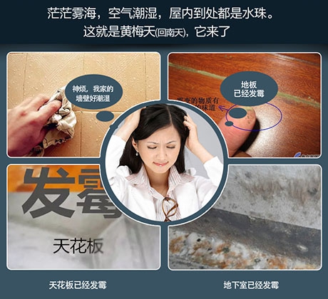 潮濕危害竟然這么大！