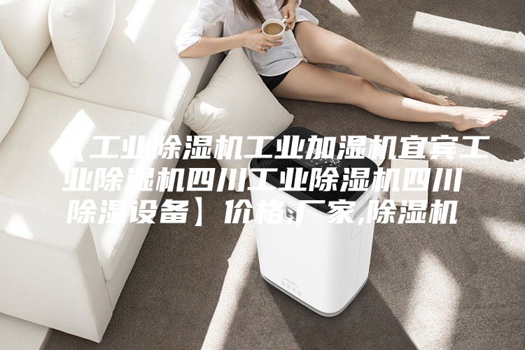 【工業(yè)除濕機(jī)工業(yè)加濕機(jī)宜賓工業(yè)除濕機(jī)四川工業(yè)除濕機(jī)四川除濕設(shè)備】價格,廠家,除濕機(jī)
