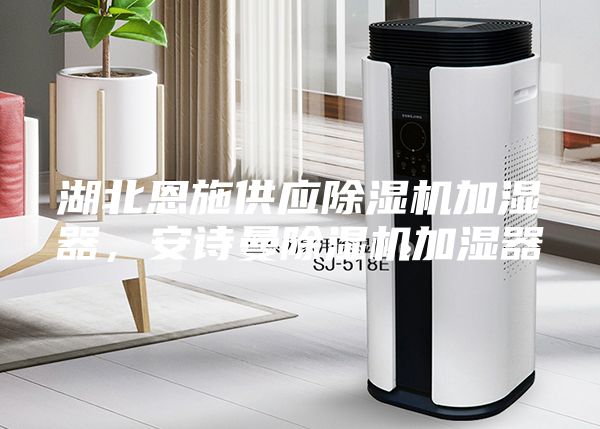 湖北恩施供應(yīng)除濕機加濕器，安詩曼除濕機加濕器