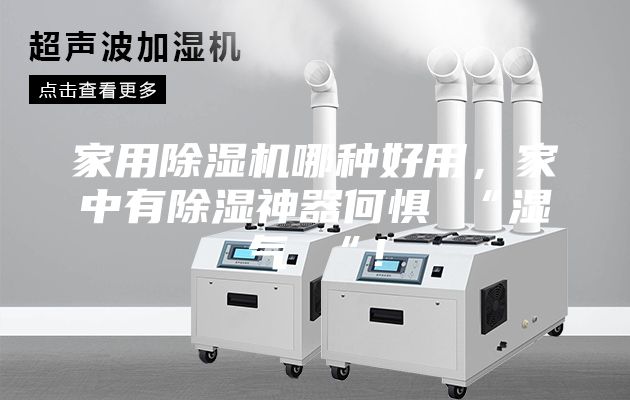 家用除濕機哪種好用，家中有除濕神器何懼 “濕氣 “！