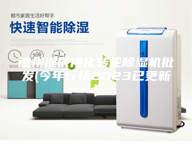 德州提供凈化轉(zhuǎn)輪除濕機批發(fā)(今年行情2023已更新)