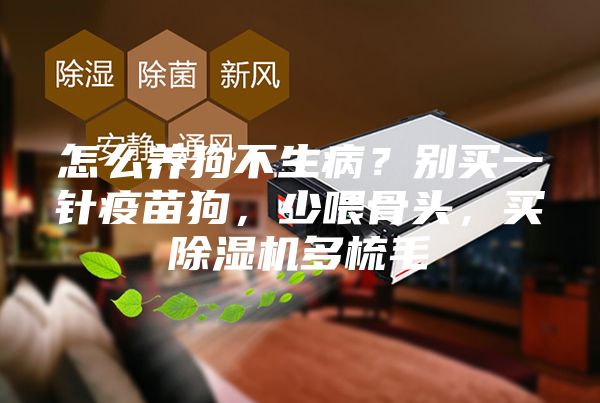 怎么養(yǎng)狗不生病？別買一針疫苗狗，少喂骨頭，買除濕機(jī)多梳毛