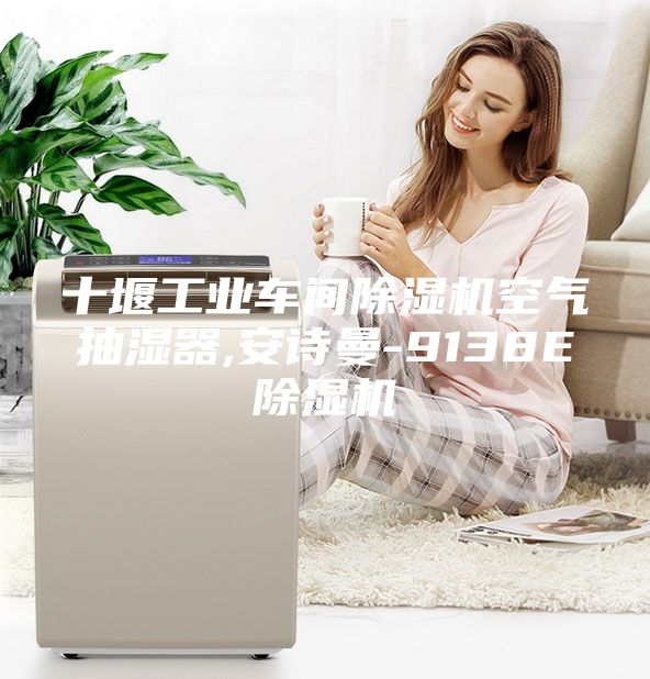十堰工業(yè)車間除濕機(jī)空氣抽濕器,安詩曼-9138E除濕機(jī)