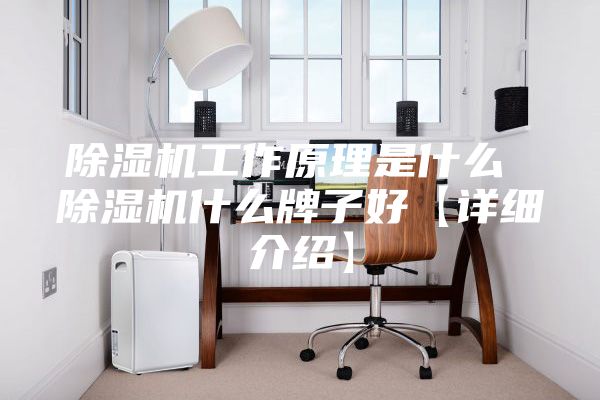 除濕機工作原理是什么 除濕機什么牌子好【詳細(xì)介紹】