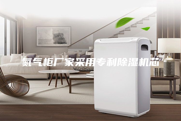 氮氣柜廠家采用專利除濕機芯