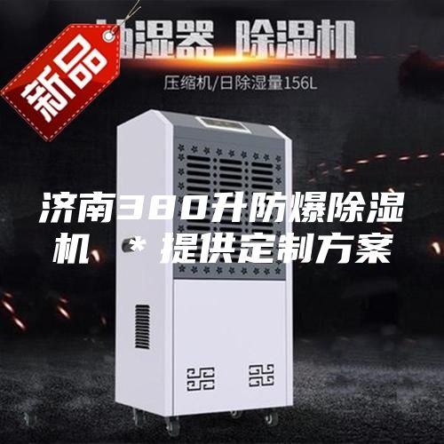 濟南380升防爆除濕機 ＊提供定制方案