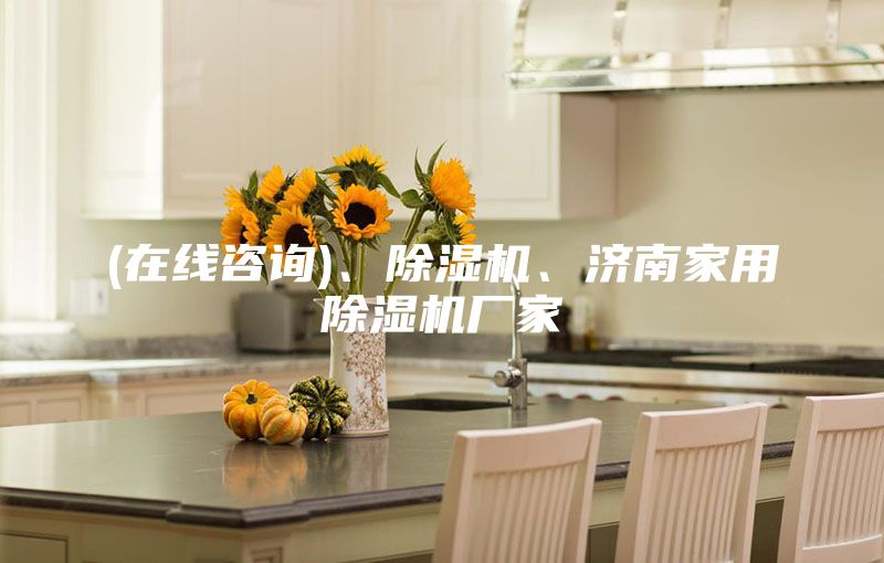(在線咨詢)、除濕機、濟南家用除濕機廠家