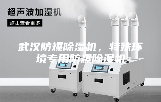 武漢防爆除濕機，特殊環境專用防爆除濕機