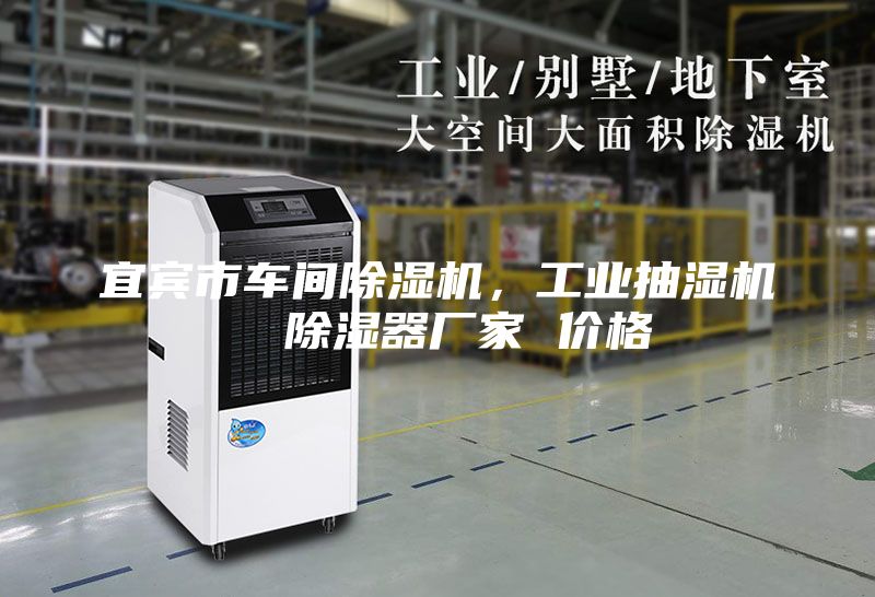 宜賓市車間除濕機(jī)，工業(yè)抽濕機(jī)  除濕器廠家 價(jià)格