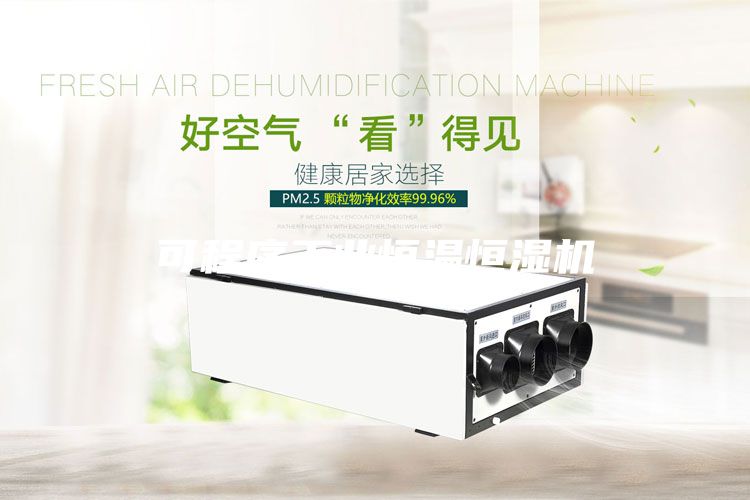 可程序工業恒溫恒濕機