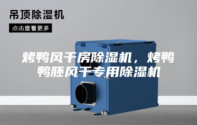 烤鴨風(fēng)干房除濕機(jī)，烤鴨鴨胚風(fēng)干專用除濕機(jī)